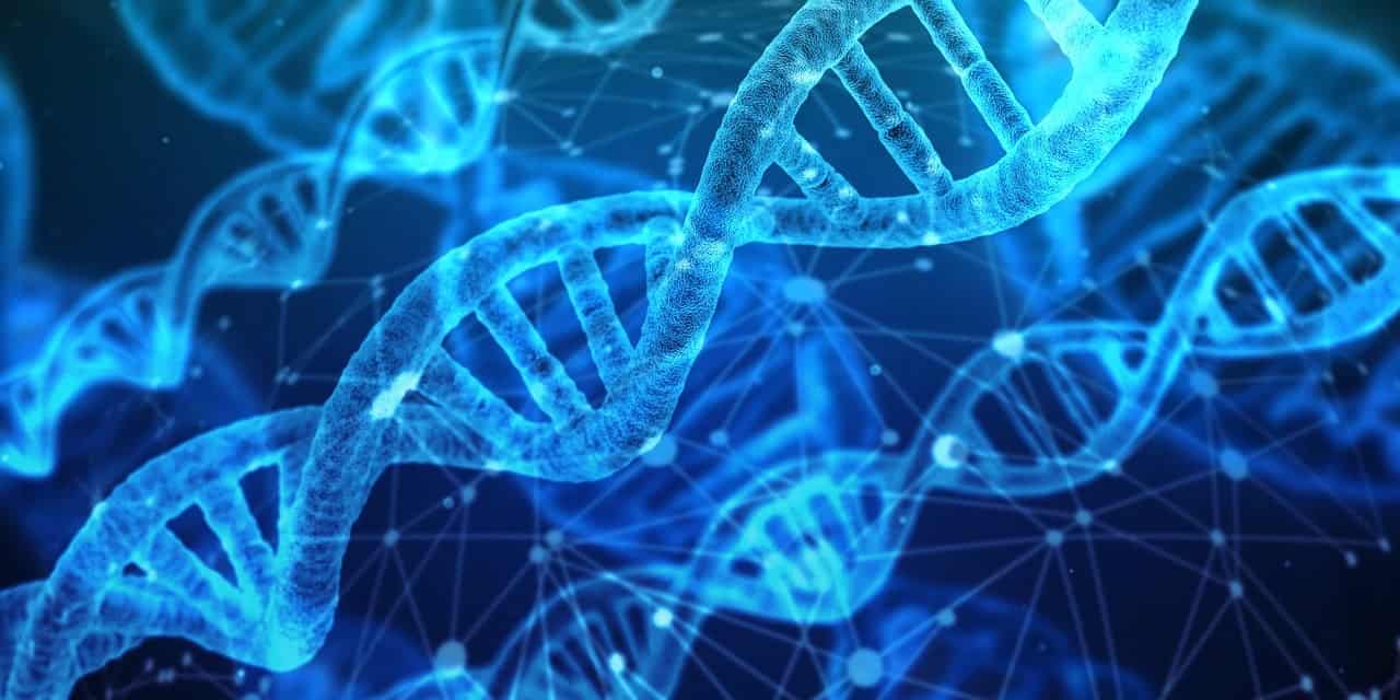 Blog The Impact of DNA Phenotyping in Criminal Investigations