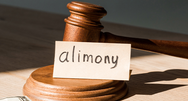 Opelika Alimony Attorney
